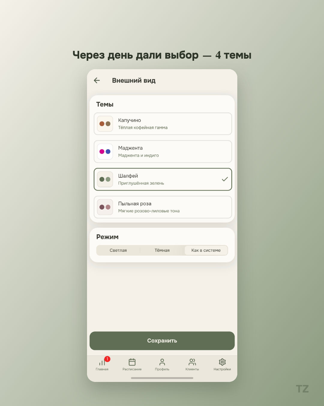 Экран «Внешний вид» с выбранной темой «Шалфей» — теперь доступно 4 палитры