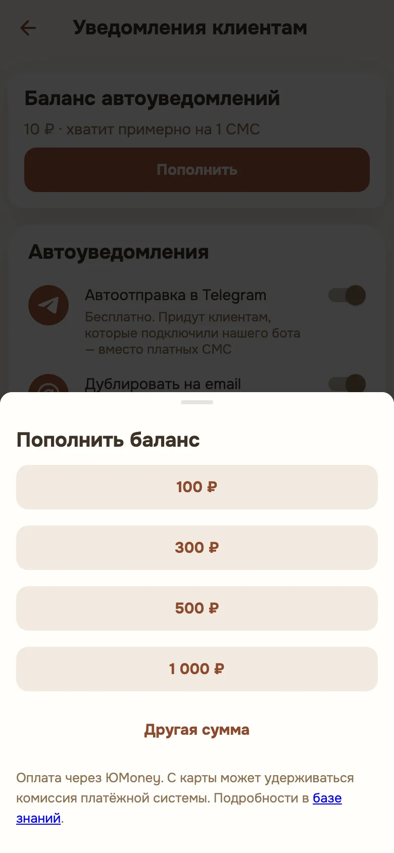 Окно пополнения баланса: суммы 100, 300, 500 и 1 000 рублей